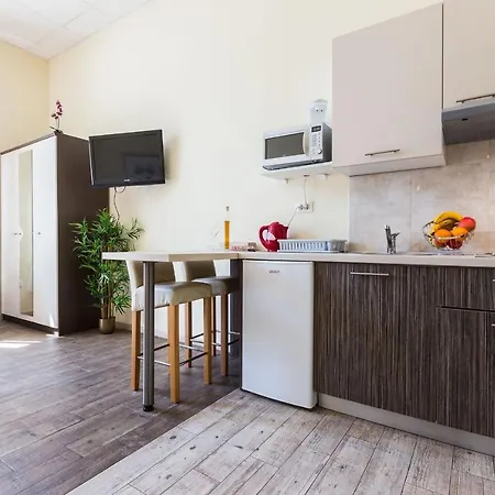Apartment Lady Of Health